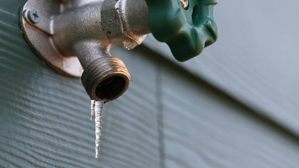 Best Plumbing Services Near Me  in Whitehall, WI